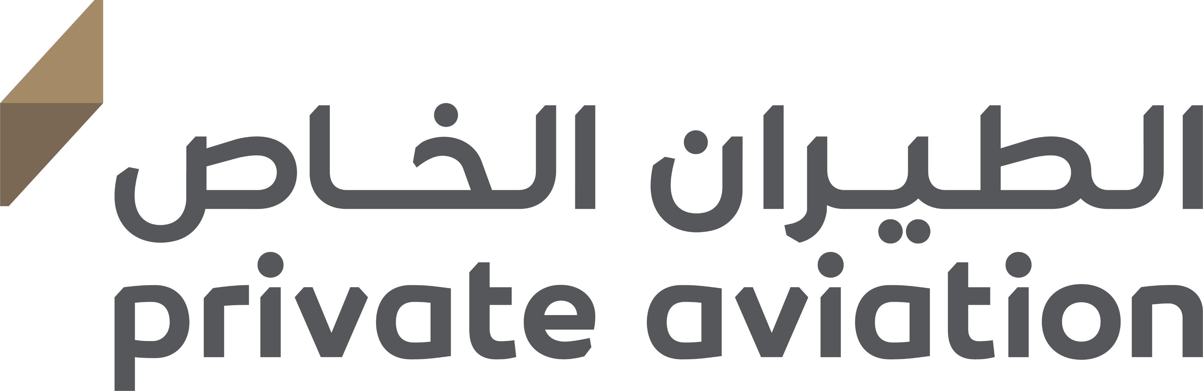 VIP Logo
